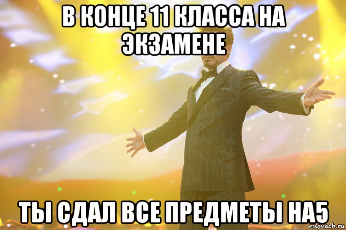 В конце 11 класса на экзамене Ты сдал все предметы на5, Мем Тони Старк (Роберт Дауни младший)