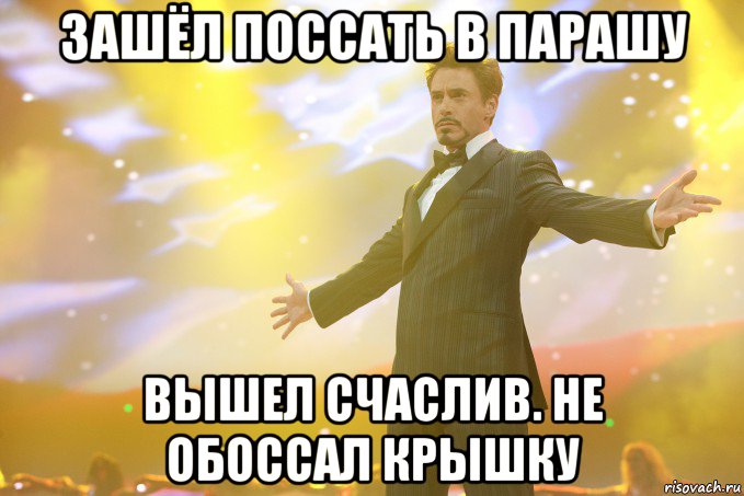 зашёл поссать в парашу вышел счаслив. не обоссал крышку, Мем Тони Старк (Роберт Дауни младший)