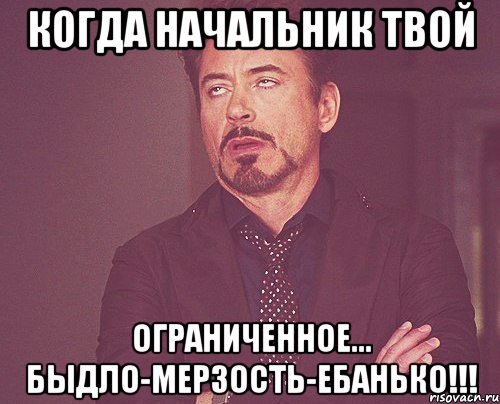 когда начальник твой ограниченное... быдло-мерзость-ебанько!!!, Мем твое выражение лица