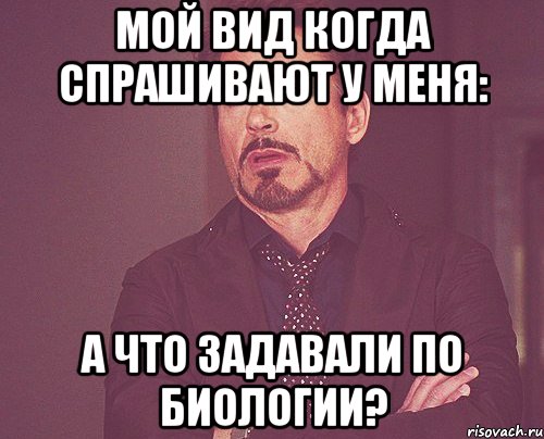 Мой вид когда спрашивают у меня: А что задавали по биологии?, Мем твое выражение лица