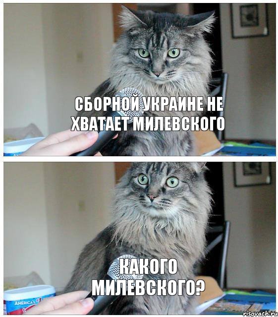 сборной украине не хватает милевского какого милевского?, Комикс  кот с микрофоном