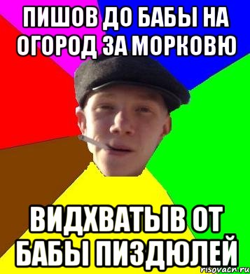 Пишов до бабы на огород за морковю Видхватыв от бабы пиздюлей, Мем умный гопник