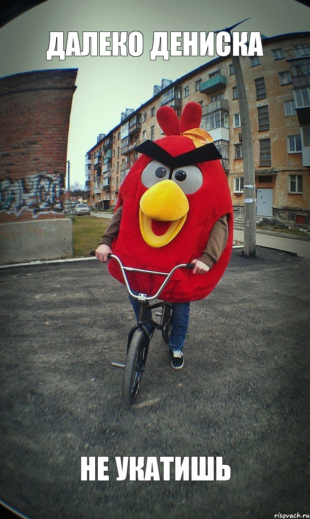 далеко Дениска не укатишь, Комикс  Angry bird на велике