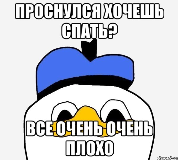 проснулся хочешь спать? все очень очень плохо, Мем Утка