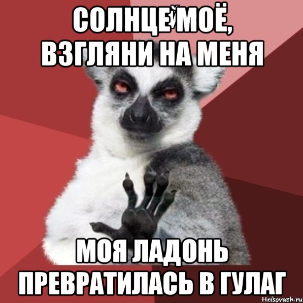 Солнце мое взгляни. Моя ладонь превратилась в ГУЛАГ. Солнце моё взгляни на меня моя Страна превратилась в ГУЛАГ. Солнце моё взгляни на меня. Солнце моё взгляни на меня Полина.