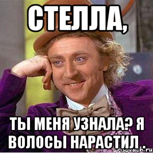 стелла, ты меня узнала? я волосы нарастил ., Мем Ну давай расскажи (Вилли Вонка)