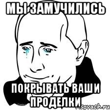 Мы замучились покрывать ваши проделки, Мем  Володя Путин