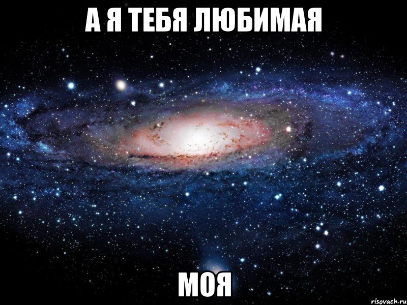 а я тебя любимая моя, Мем Вселенная