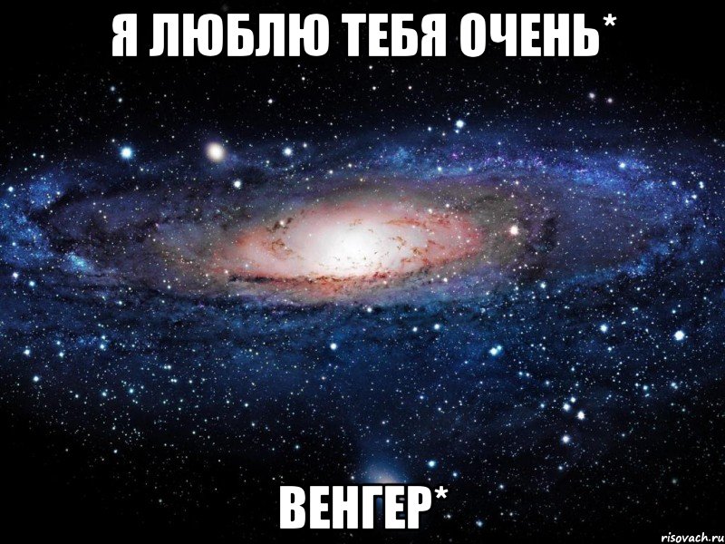 я люблю тебя очень* венгер*, Мем Вселенная