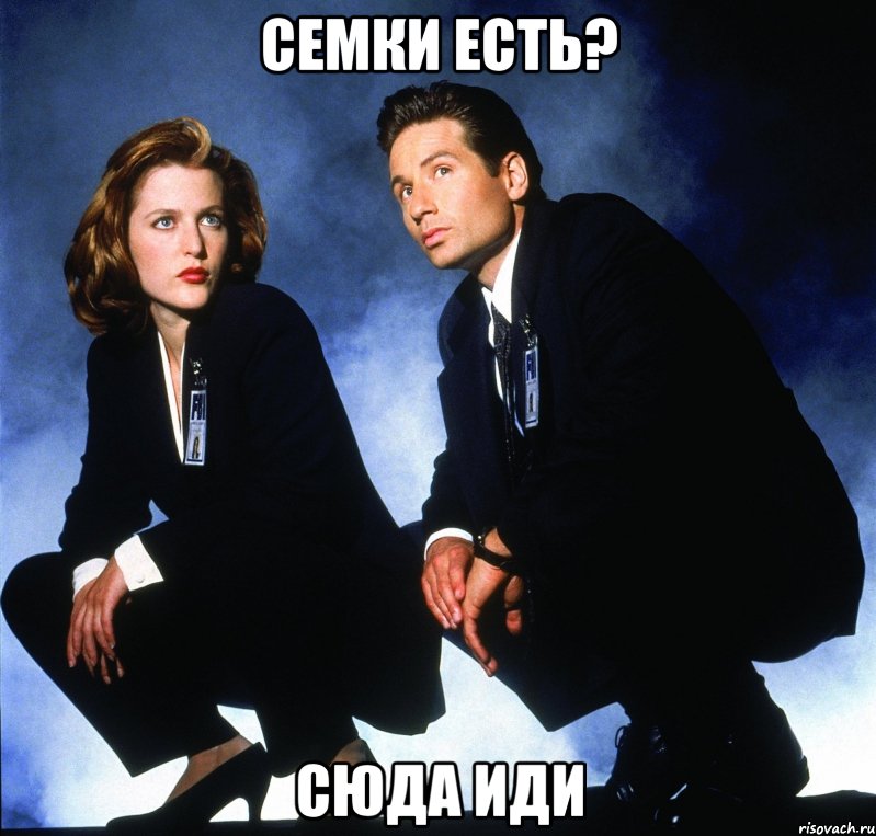 семки есть? сюда иди, Мем Секретные материалы