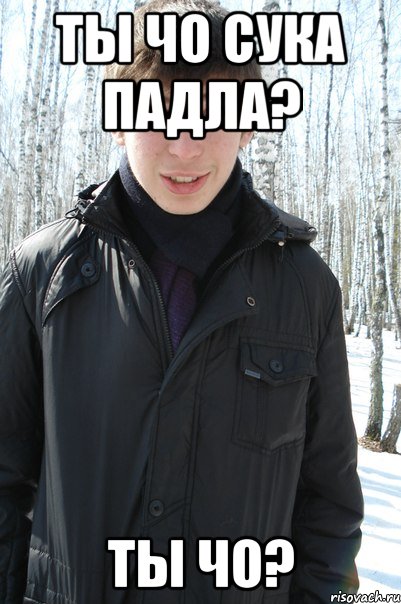Сколько лет мем чо Ты чо сука падла? Ты чо?, Мем ыфыв - Рисовач .Ру