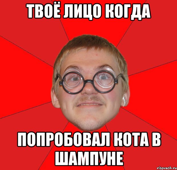 твоё лицо когда попробовал кота в шампуне, Мем Злой Типичный Ботан