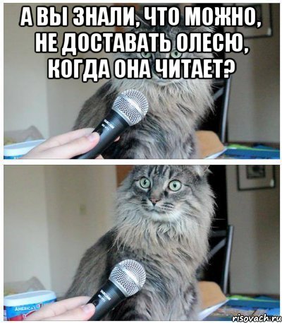 А вы знали, что можно, не доставать Олесю, когда она читает? , Комикс  кот с микрофоном