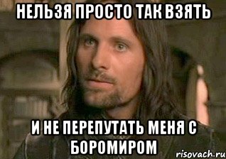 Просто пройти. Арагорн мемы. Арагорн Мем нельзя. Арагорн нельзя просто так. Боромир нельзя так просто взять и.