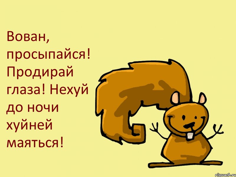 Вован, просыпайся! Продирай глаза! Нехуй до ночи хуйней маяться!, Комикс  белка