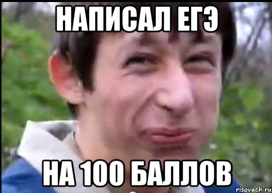 Написал ЕГЭ на 100 баллов