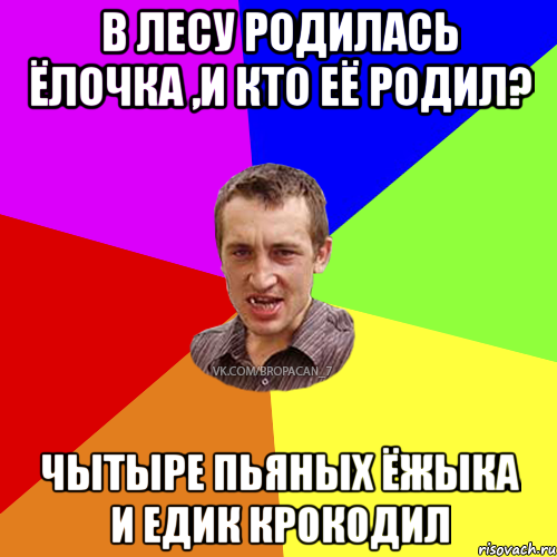 Кто ее родил 4 пьяных ежика. В лесу родилась елочка а кто ее родил 4 пьяных ежика и Гена крокодил. В лесу родилась ёлочка а кто её родил. В лесу родилась ёлочка и кто её родил четыре пьяных Ёжика и Гена. В лесу родилась прикол.