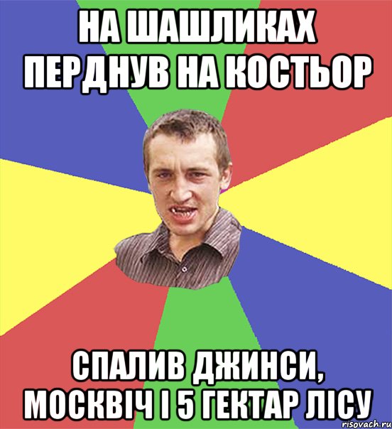 на шашликах перднув на костьор спалив джинси, москвіч і 5 гектар лісу