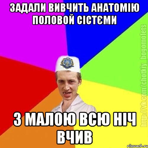 задали вивчить анатомію половой сістєми з малою всю ніч вчив, Мем Чоткий пацан