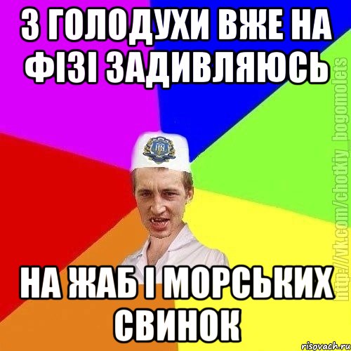 з голодухи вже на фізі задивляюсь на жаб і морських свинок, Мем Чоткий пацан