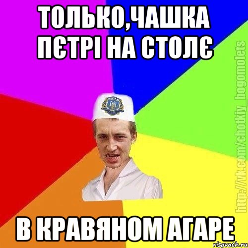 Только,Чашка Пєтрі на Столє В кравяном агаре, Мем Чоткий пацан