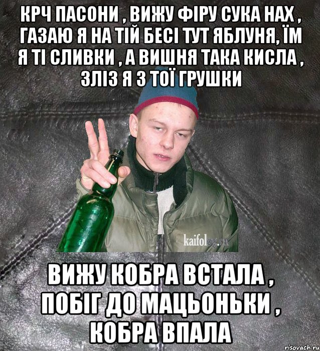 крч пасони , вижу фіру сука нах , газаю я на тій бесі тут яблуня, їм я ті сливки , а вишня така кисла , зліз я з тої грушки вижу кобра встала , побіг до мацьоньки , кобра впала, Мем Дерзкий