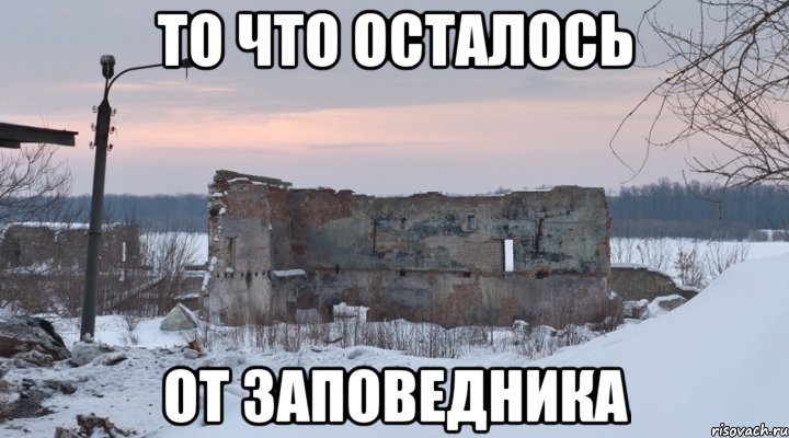 То что осталось от заповедника