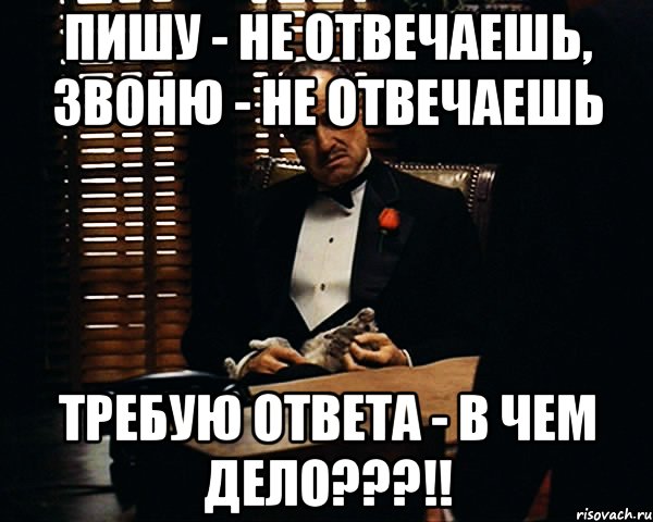 Написала целую. Не пишите не звоните. Звоню не отвечаешь. Не пишите не звоните не отвечу. Требуем ответа.