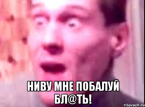  Ниву мне побалуй бл@ть!, Мем Дверь мне запили