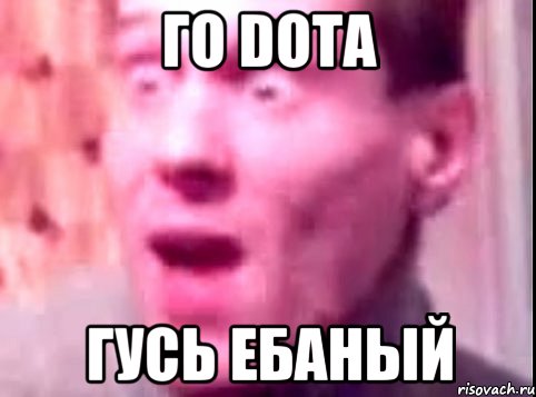 Го Dota Гусь ебаный, Мем Дверь мне запили