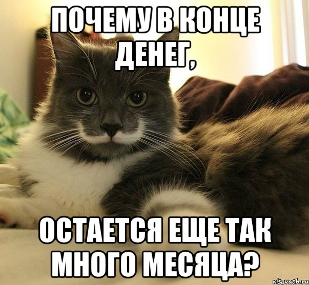 Многие месяца. Почему в конце денег остается еще так много месяца. Почему в конце денег так много месяца. Так много вопросов Мем. Конец месяца Мем.