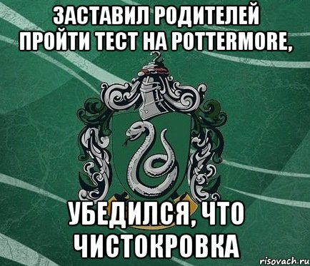 Тест на факультет в хогвартсе pottermore. Хогвартс факультеты тест Pottermore. Слизерин тест. Слизерин мемы мемы. Поттермор тест.