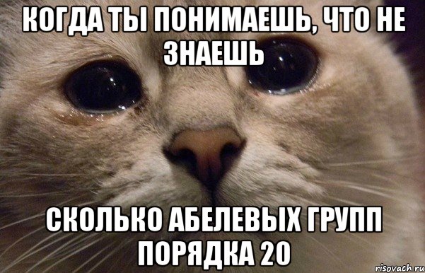 Когда ты понимаешь, что не знаешь сколько абелевых групп порядка 20, Мем   В мире грустит один котик