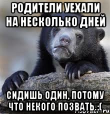 родители уехали на несколько дней сидишь один, потому что некого позвать :(, Мем грустный медведь