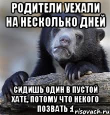 родители уехали на несколько дней сидишь один в пустой хате, потому что некого позвать :(, Мем грустный медведь