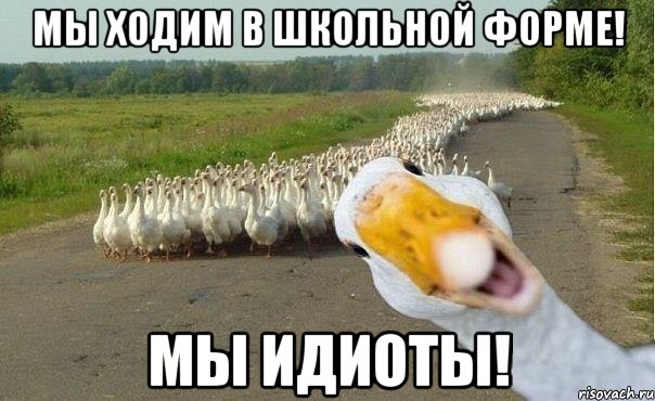 Мы ходим в школьной форме! Мы идиоты!, Мем гуси