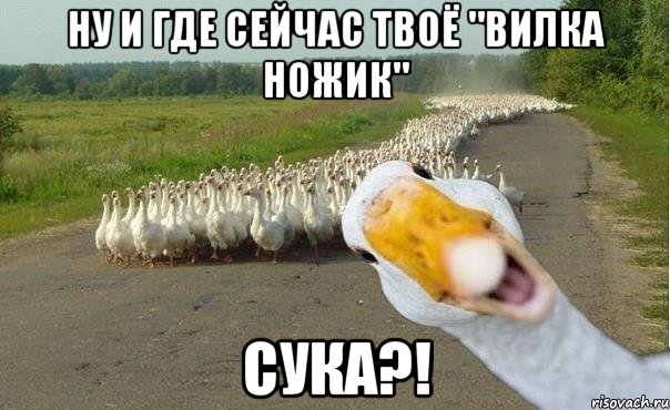 ну и где сейчас твоё "вилка ножик" СУКА?!, Мем гуси