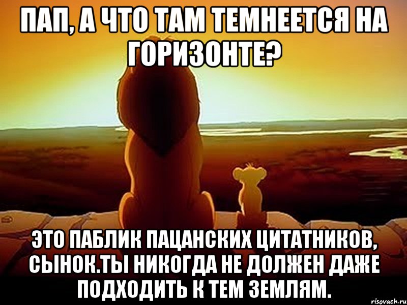 Пап, а что там темнеется на горизонте? Это паблик пацанских цитатников, сынок.Ты никогда не должен даже подходить к тем землям., Мем  король лев