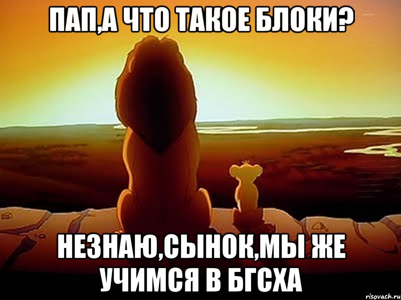 Пап,а что такое блоки? Незнаю,сынок,мы же учимся в БГСХА, Мем  король лев