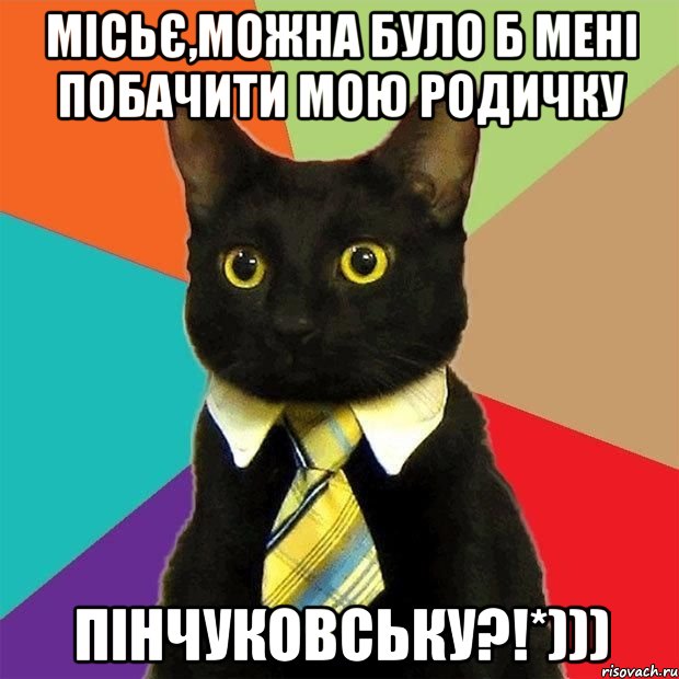 Місьє,можна було б мені побачити мою родичку Пінчуковську?!*))), Мем  Кошечка