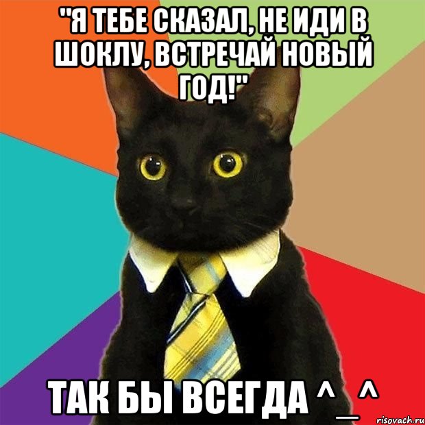 "Я тебе сказал, не иди в шоклу, встречай новый год!" Так бы всегда ^_^, Мем  Кошечка