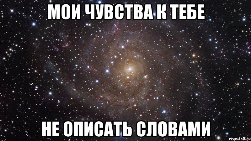 Слово чувство. Не описать словами. Не описать. Мою любовь к тебе не описать словами братик.