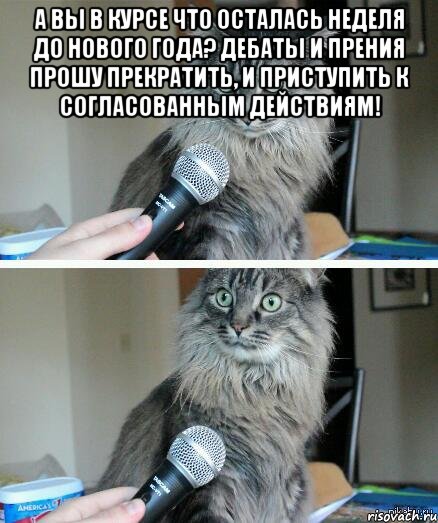 А Вы в курсе что осталась неделя до Нового Года? Дебаты и прения прошу прекратить, и приступить к согласованным действиям! , Комикс  кот с микрофоном