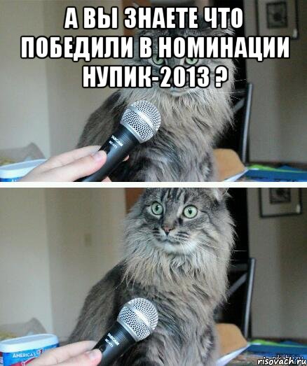 А вы знаете что победили в номинации нупик-2013 ? , Комикс  кот с микрофоном