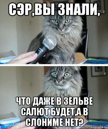 Сэр,вы знали, что даже в Зельве салют будет,а в Слониме нет?, Комикс  кот с микрофоном