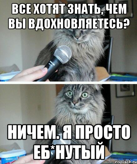 Все хотят знать, чем вы вдохновляетесь? Ничем. Я просто еб*нутый, Комикс  кот с микрофоном