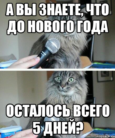 А вы знаете, что до Нового года осталось всего 5 дней?, Комикс  кот с микрофоном