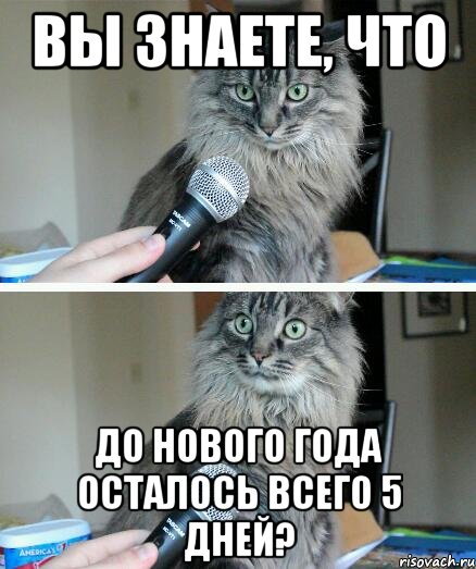 Вы знаете, что до Нового года осталось всего 5 дней?, Комикс  кот с микрофоном