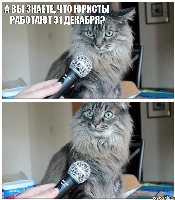 а Вы знаете, что юристы работают 31 декабря?, Комикс  кот с микрофоном