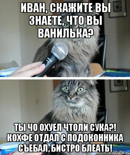 Иван, скажите вы знаете, что вы ванилька? Ты чо охуел чтоли сука?! Кохфе отдал с подоконника съебал, бистро блеать!, Комикс  кот с микрофоном